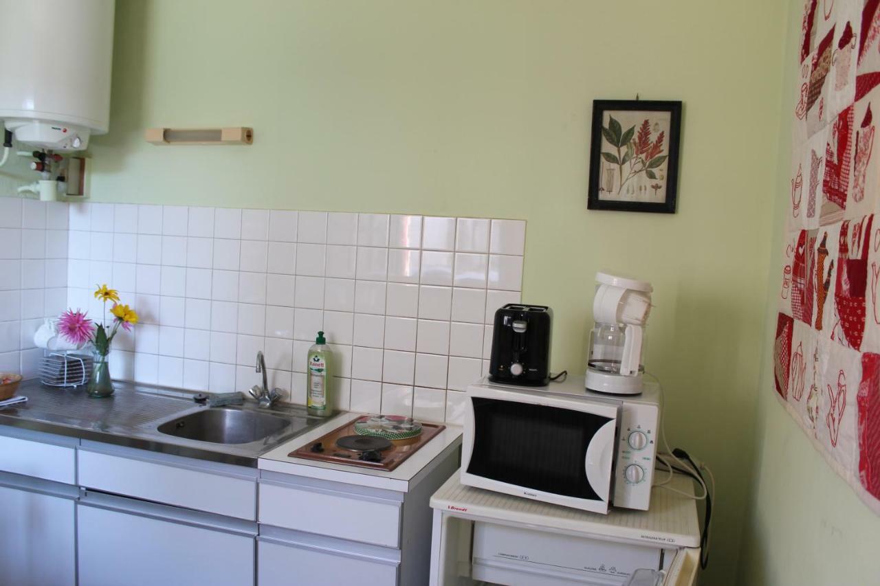 Appartement Val De Saone Seurre Eksteriør billede